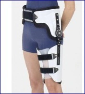 Hip Joint Orthopedic Apparatus