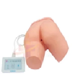 Adult Human Body Model for Enema Training with Electronic Controller, Art. 15A