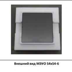 Micro-channel Electronic Amplifier MEU 54x54-6