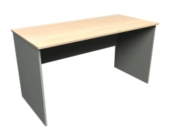 Computer Desk for Writing and Document Work SK-2
