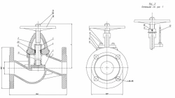 Flanged Non-Return Shut-Off Valve with Indicator DN 50 PN 16 Series 458 (KMIА.491915.002-02)