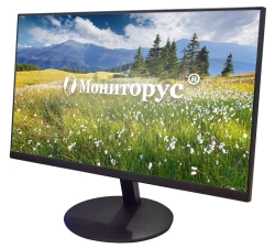 Liquid Crystal Monitor MONITORUS 2101/DVI CD2101