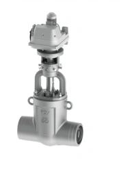 Regulating Valve Series 1416 DN 65 - 80, PN up to 50MPa, T up to 570°C