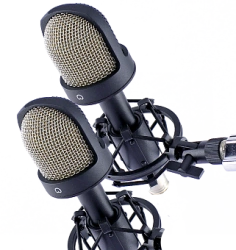 MK-101 Stereo Pair Condenser Microphones