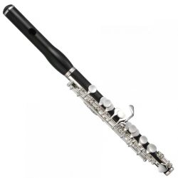 Professional Piccolo Flute "Solovey