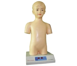 Pediatric Auscultation Model for Heart and Lungs, XRXF