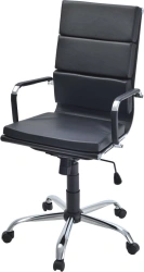 Eva P Chair - Ergonomic Office Seating Solution
