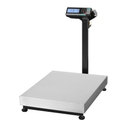 Electronic Floor Scale with Label Printing TV-M-60.2-RP3