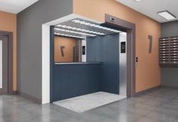 Passenger Electric Lift Model SPbLZ MR with Machine Room, 630 kg Capacity