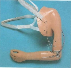 Electromechanical Arm Prosthesis with Control System PV-VCHM